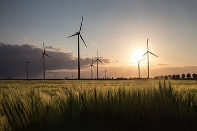 windmills in a wheat field