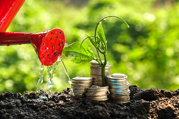 watering can pouring on stacked change with a plant growing